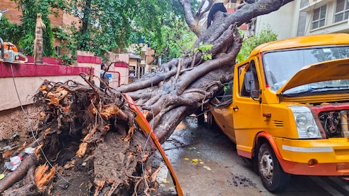 11 साल के बच्चे की मौत हो गई, लेकिन जवाबदेही तय नहीं... विपक्ष ने BMC की मीटिंग का कर दिया बायकॉट