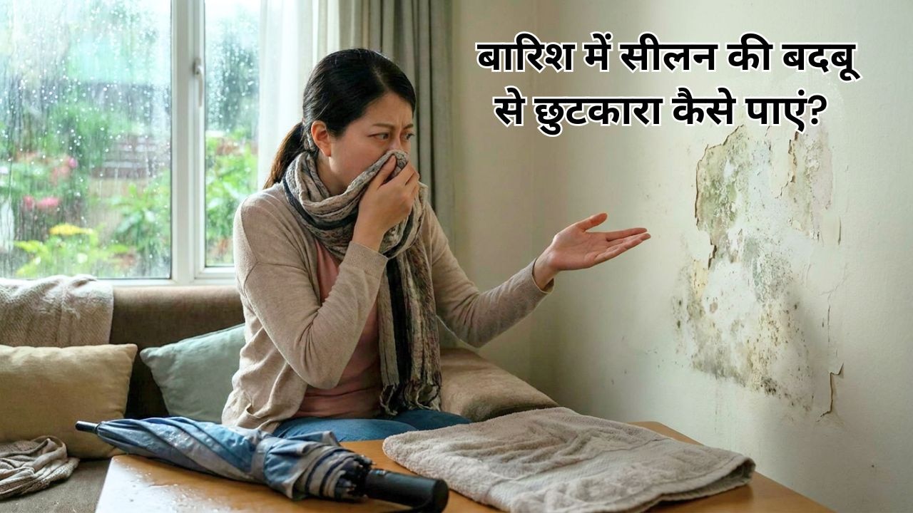 मानसून में दीवारों की सीलन से लेकर कमरे की बदबू तक, घर को फ्रेश रखने के लिए आज ही अपनाएं ये टिप्स और ट्रिक्स