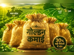 MP का 'गोल्डेन ग्रेन' बना ग्लोबल स्टार, खाड़ी के देश हो रहे दीवाने, बदल रही किसानों की किस्मत