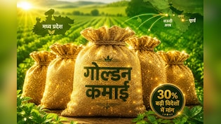 MP का 'गोल्डेन ग्रेन' बना ग्लोबल स्टार, खाड़ी के देश हो रहे दीवाने, बदल रही किसानों की किस्मत