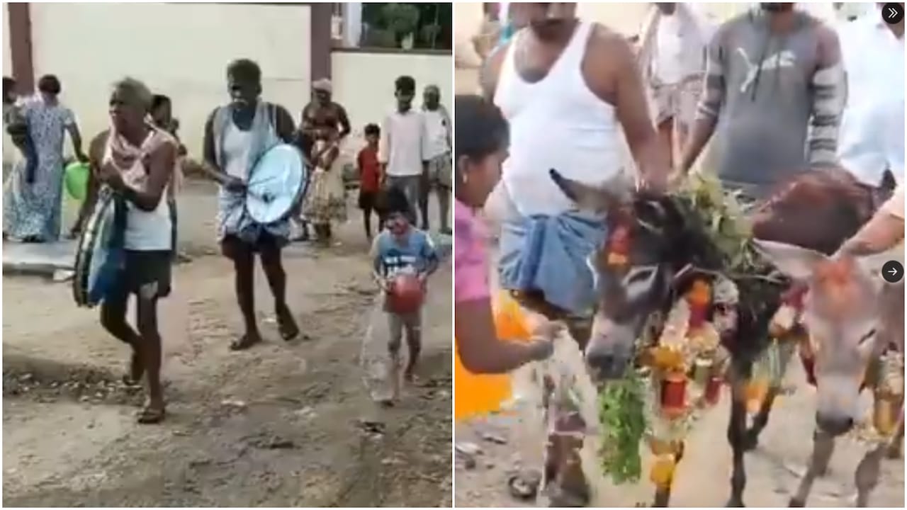 बारिश के लिए किसानों ने करा दी गधों की शादी, बाकायदा सजी बारात और बजे ढोल; हर घर हुआ स्वागत