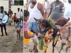 बारिश के किसानों ने करा दी गधों की शादी, बाकायदा सजी बारात और बजे ढोल; हर घर हुआ स्वागत