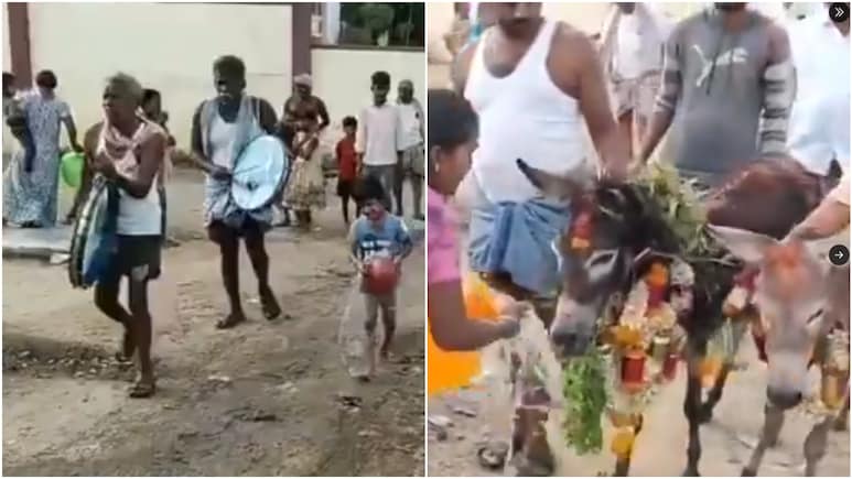 बारिश के लिए किसानों ने करा दी गधों की शादी, बाकायदा सजी बारात और बजे ढोल; हर घर हुआ स्वागत