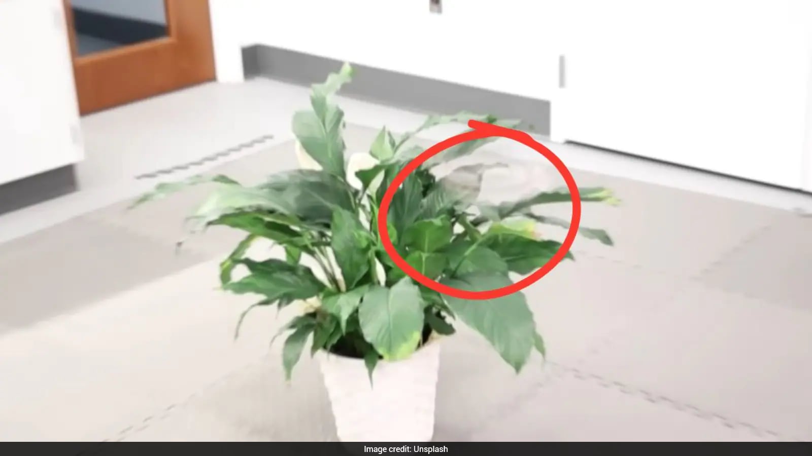 Phantom Twist Drone Blurs into Invisibility