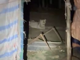 Lion Snatches Boy, 11, From Hill In Gujarat, Mauls Him To Death In Forest