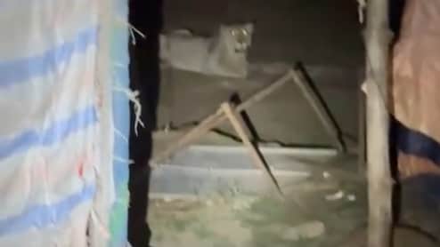 Lion Snatches Boy, 11, From Hill In Gujarat, Mauls Him To Death In Forest