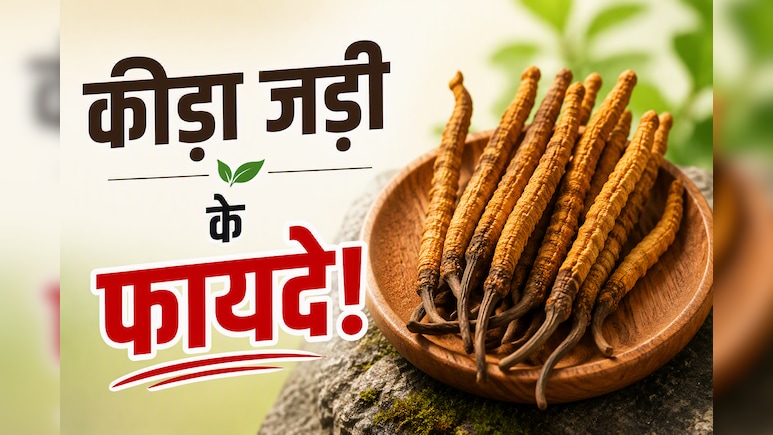 इन 5 लोगों के लिए वरदान से कम नहीं कीड़ा जड़ी बूटी, जानें फायदे और सेवन का तरीका