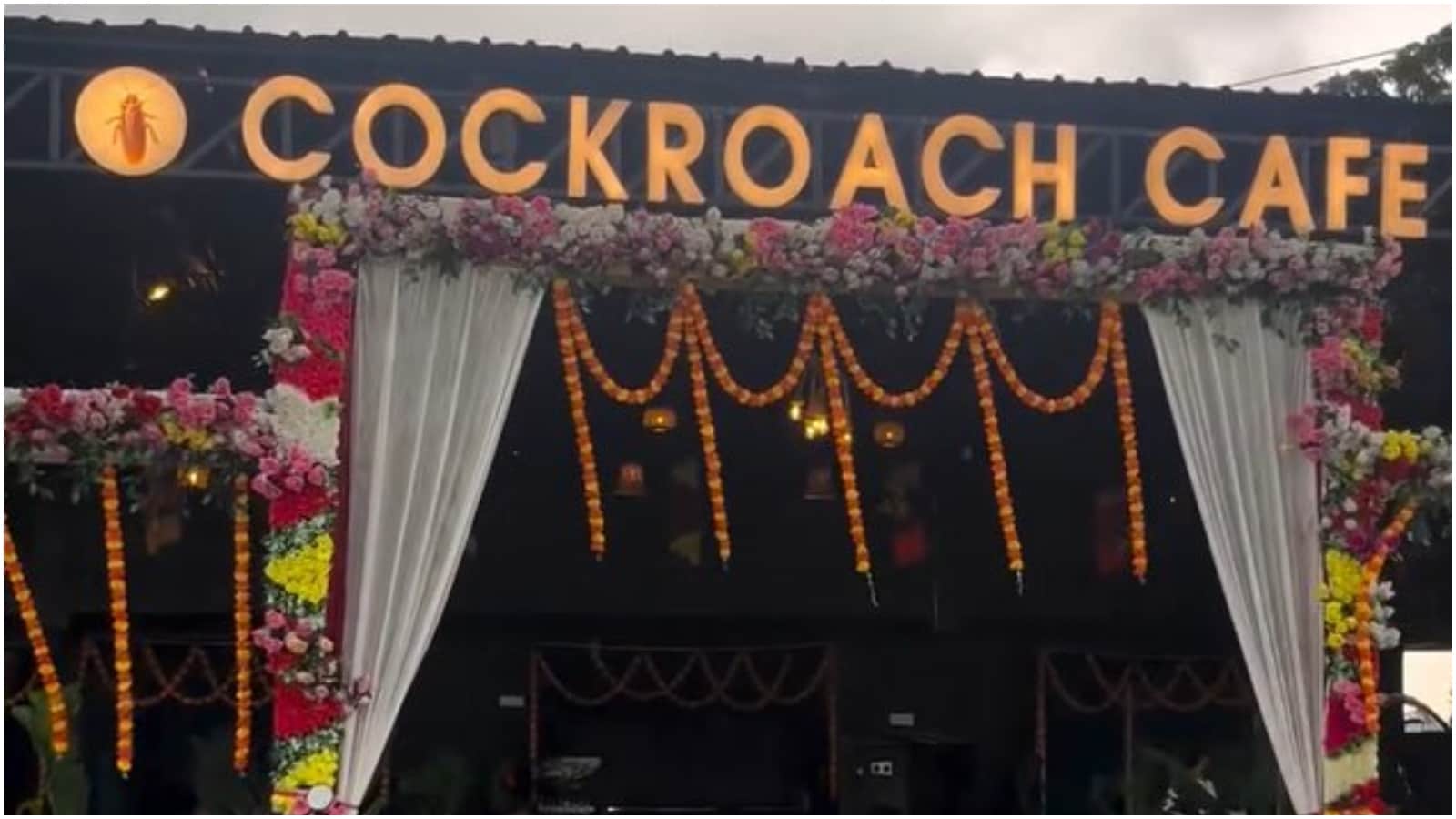 Cockroach Cafe Opens In Bihar, Wins Hearts With Its Unusual Name