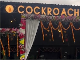 Cockroach Cafe Opens In Bihar, Wins Hearts With Its Unusual Name