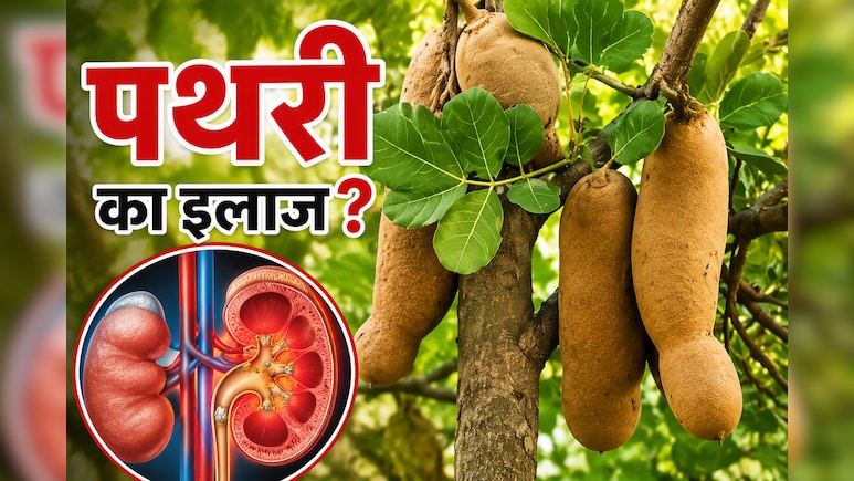 पथरी के लिए रामबाण है बालम खीरा, जानें फायदे और सेवन का सही तरीका