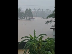 Snake Scare In China: 900 Reptiles, Including Cobras Escape During Floods, Sparks Panic | Videos