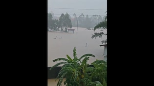 Snake Scare In China: 900 Reptiles, Including Cobras, Escape During Floods, Spark Panic | Videos