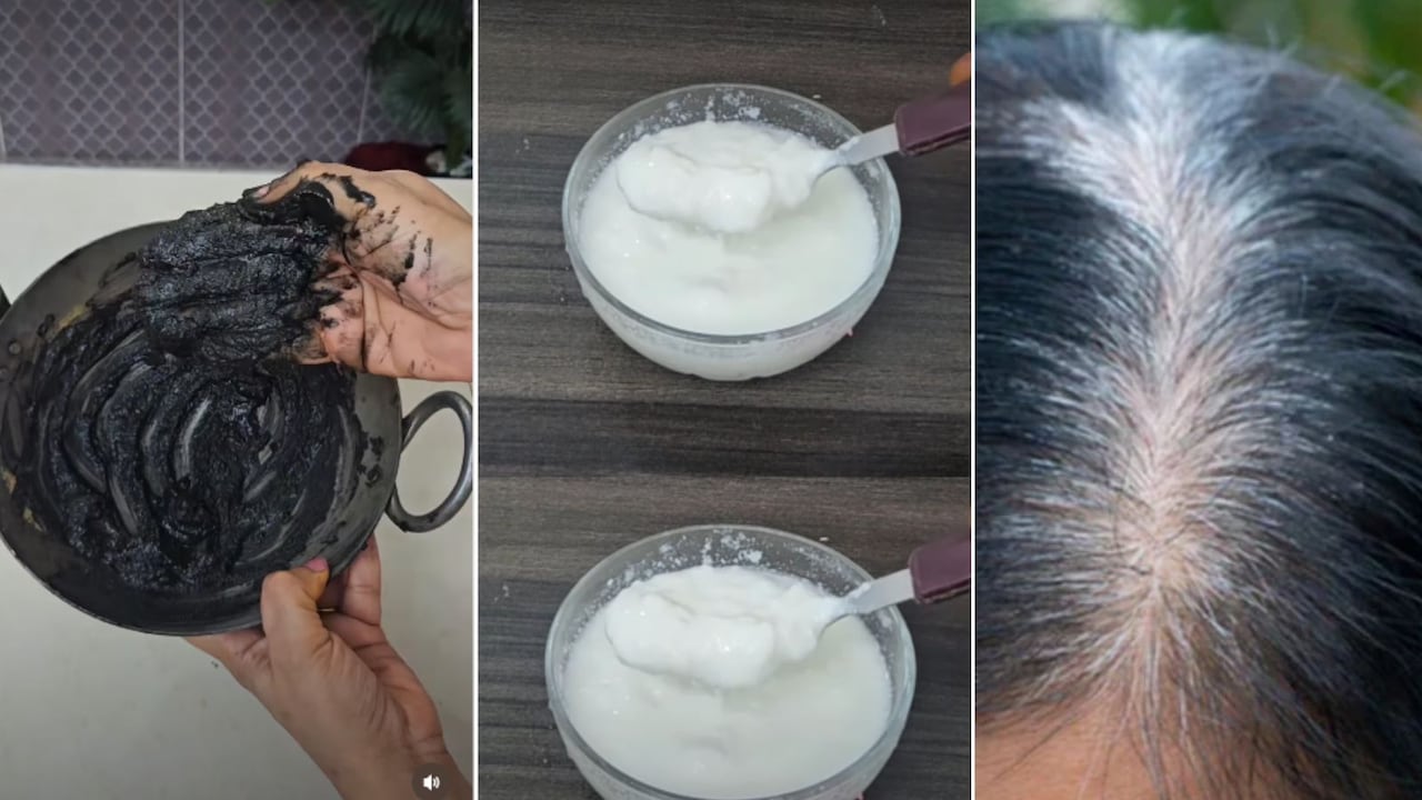 Hair Care Tips: बाल लंबे, घने और काले चाहिए, नहाने से 1 घंटा पहले दही में ये 3 चीज मिलाकर लगा लें
