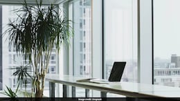 Out By 5:30 PM, No Weekend Texts: This CEO Sets Hard Work-Life Boundaries