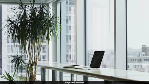 Out By 5:30 PM, No Weekend Texts: This CEO Sets Hard Work-Life Boundaries