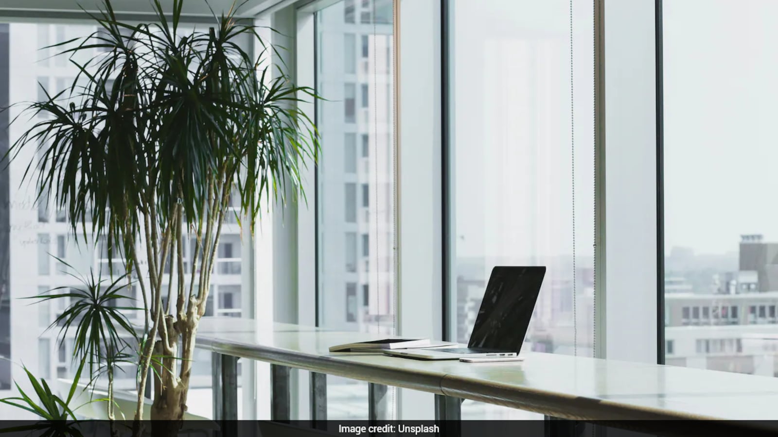 US Polo CEO Prioritizes Work-Life Balance with No After-Hours Employee Contact