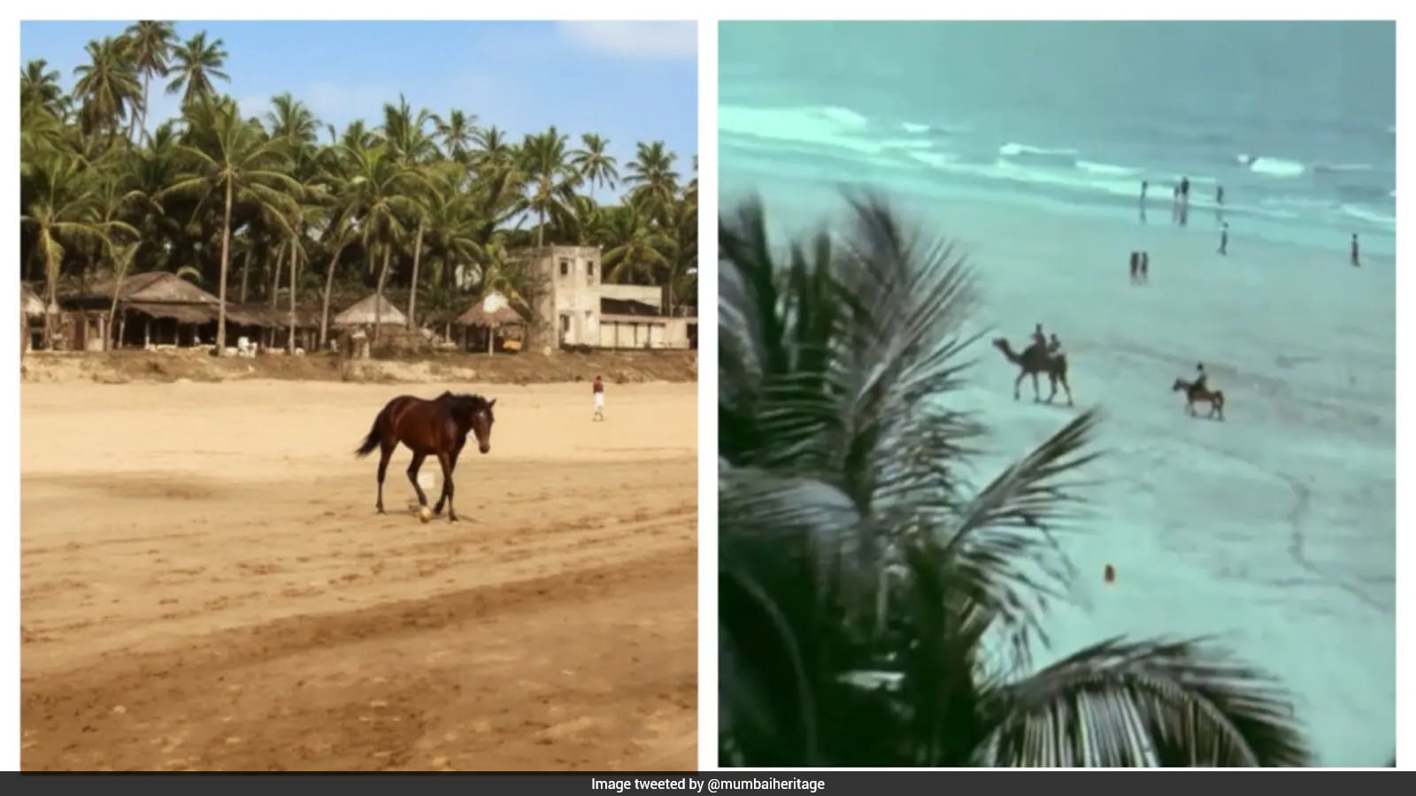 Vintage Juhu Beach Footage Sparks Nostalgia and Debate