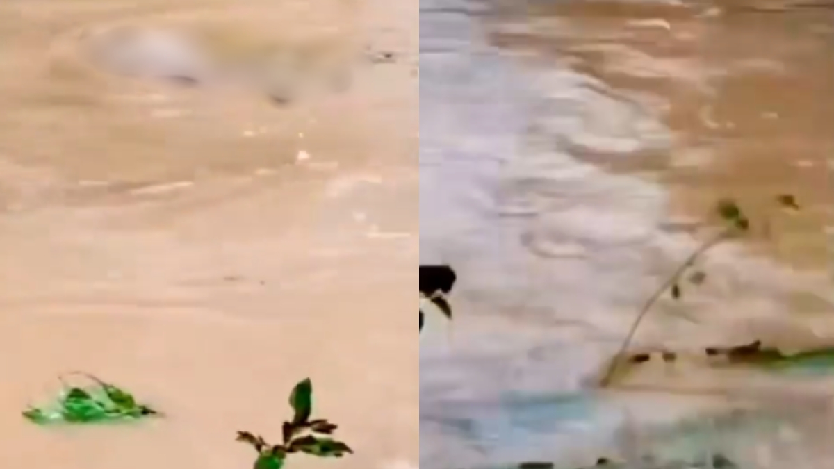 Bodies Float Out As Rain Floods Graveyard In UP's Saharanpur