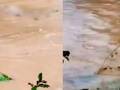 Bodies Float Out As Rain Floods Graveyard In UP's Saharanpur