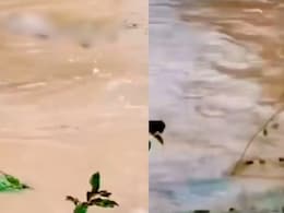 Bodies Float Out As Rain Floods Graveyard In UP's Saharanpur