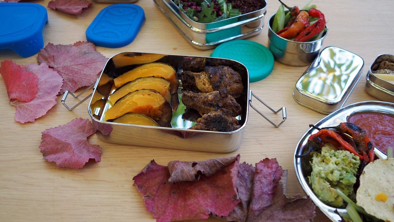 Are Stainless-Steel Lunch Boxes Better Than Plastic Ones?
