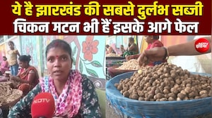 झारखंड के जंगलों में मिलता है ये 'सफेद खजाना', एक सीजन में महिलाएं कमाती हैं लाखों रुपए