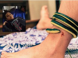Snake Bite : सापाच्या दंशाने झाला असता 9 वर्षांच्या मुलाचा मृत्यू; मात्र आईच्या एका निर्णयाने वाचला जीव