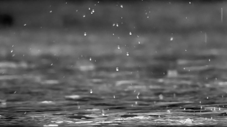 Mumbai Rains: Mayor Ritu Tawde Warns Citizens Against Visiting Seafront Amid High Tide