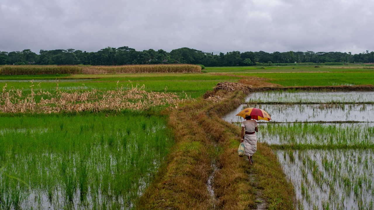 What are the monsoon essentials you need to carry while going for a vacation to Northeast?