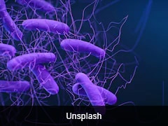 A Dangerous Hospital Superbug Is Beating Medicine's Last Line Of Defence