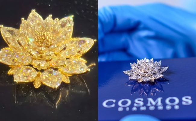 Bengaluru Startup Creates Lotus-Shaped “Diamond in the Sky” Inspired Diamond