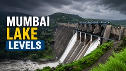 Water Level In Mumbai Lakes Today: Storage Marginally Declines; IMD Issues Yellow Alert For Thane, Palghar Till July 31