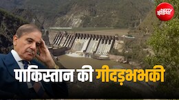 'वर्ल्ड ऑर्डर चरमरा जाएगी', पानी को तरस रहे पाकिस्तान की धमकी, सिंधु जल संधि पर फिर अलापा पुराना राग