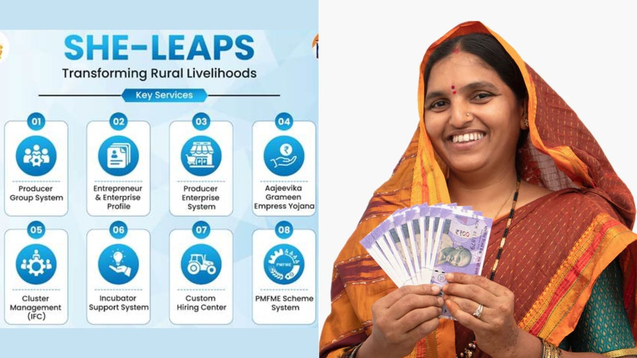 महिलाओं को सशक्त बनाएगा 'SHE-LEAPS', 6 करोड़ 'लखपति दीदी' बनाने के लक्ष्य को मिलेगी रफ्तार, जानिए इसकी सुविधाएं