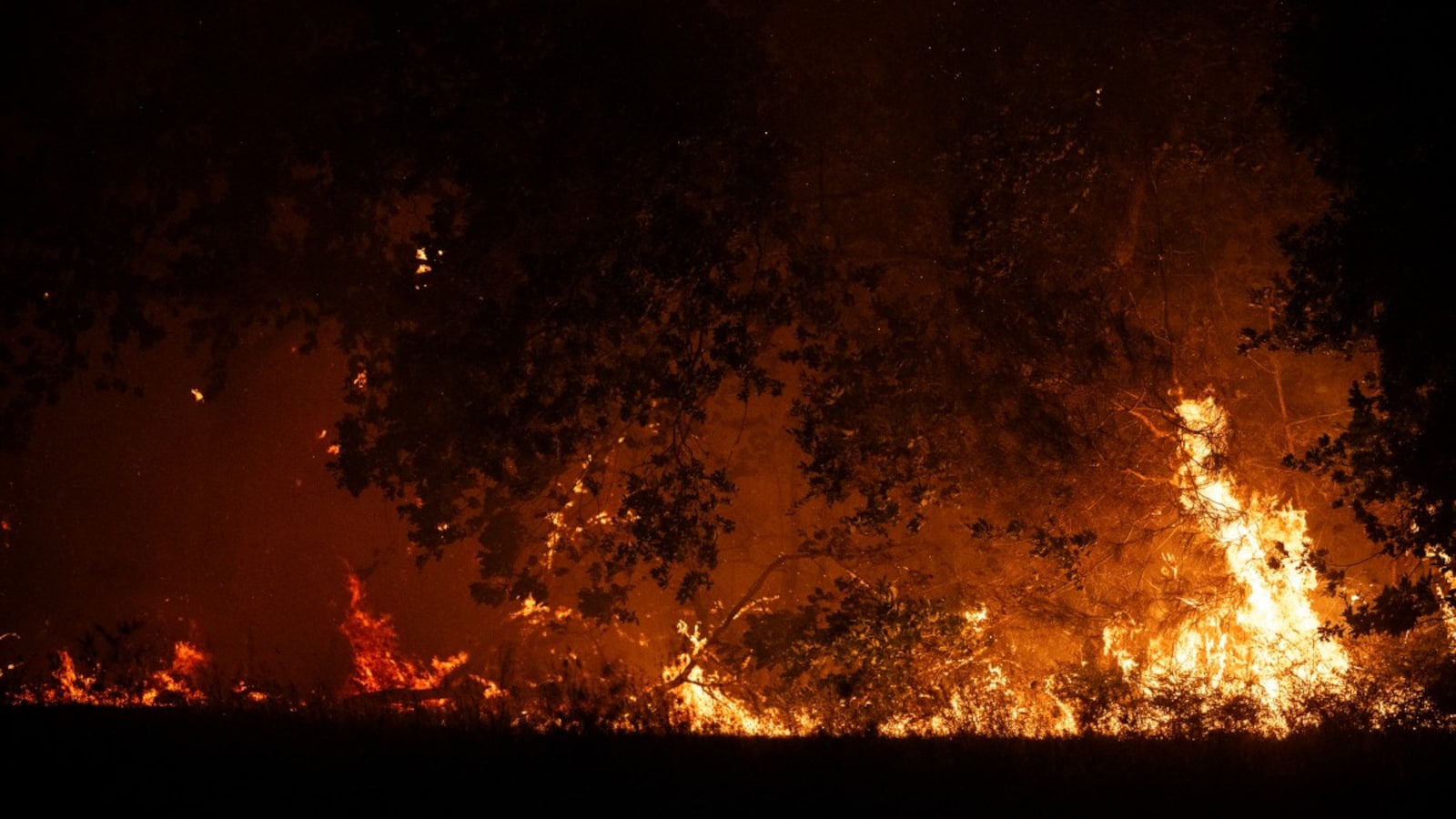 Spain Arrests Man For Allegedly Starting Fire With Farm Vehicle