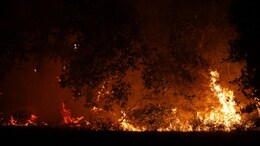 Spain Arrests Man For Allegedly Starting Fire With Farm Vehicle
