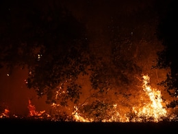 Spain Arrests Man For Allegedly Starting Fire With Farm Vehicle