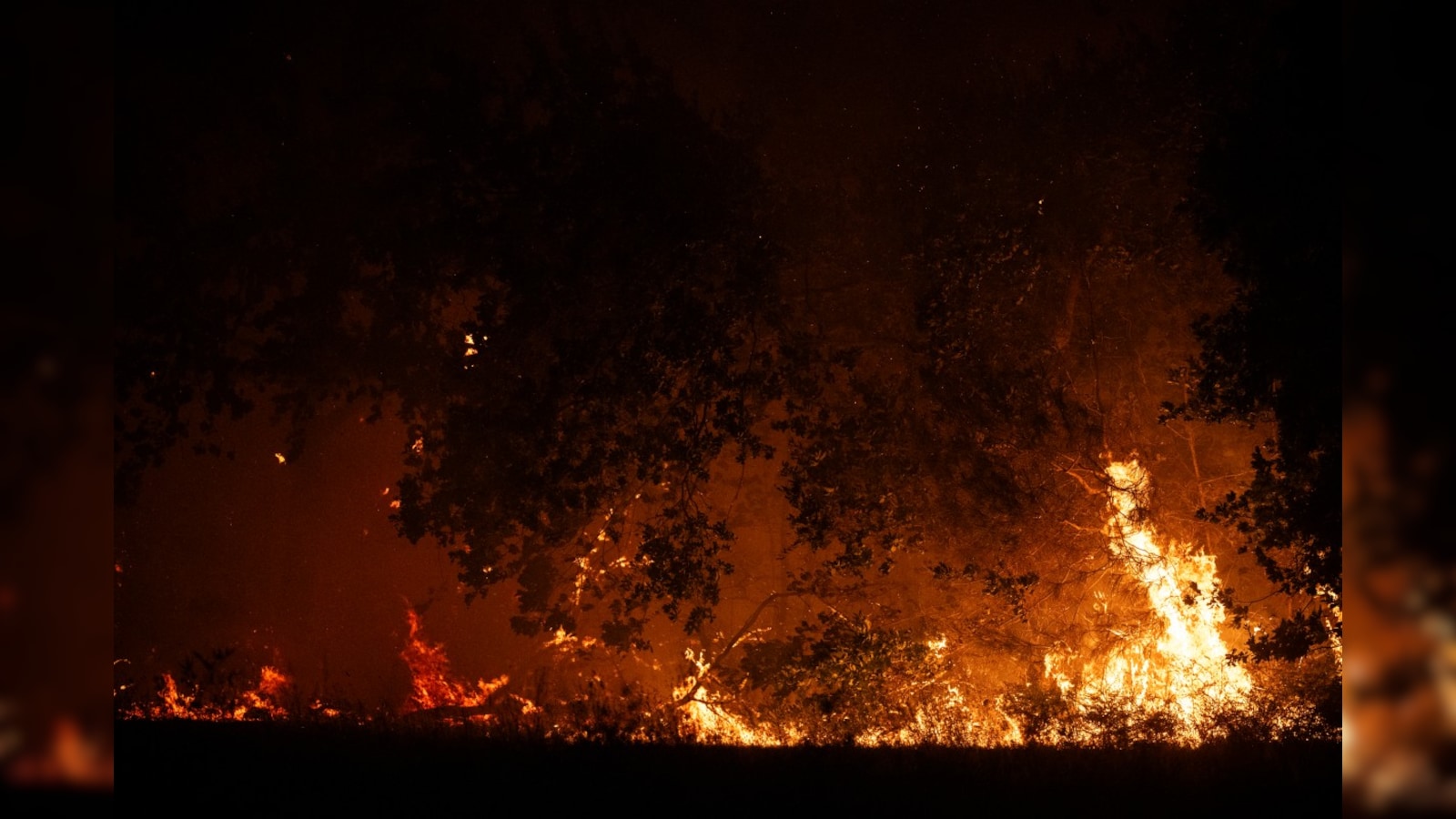 France, Spain Wildfires, Over 30,000 Evacuated As Wildfires Burn Through France And Spain