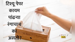 Tissue Paper: टिश्यू पेपर पांढराच का असतो? कारण ऐकून पुढच्या वेळी रंगीत टिश्यू वापरताना 10 वेळा विचार कराल