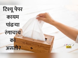 Tissue Paper: टिश्यू पेपर पांढराच का असतो? कारण ऐकून पुढच्या वेळी रंगीत टिश्यू वापरताना 10 वेळा विचार कराल