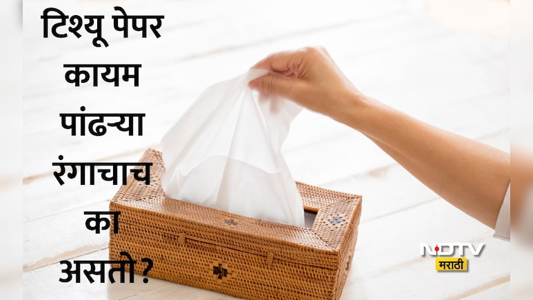 Tissue Paper: टिश्यू पेपर पांढराच का असतो? कारण ऐकून पुढच्या वेळी रंगीत टिश्यू वापरताना 10 वेळा विचार कराल