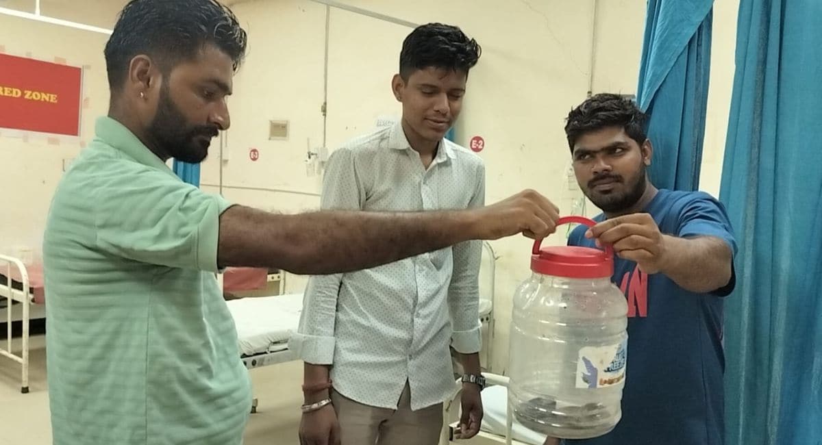 डब्बे में सांप को भरकर अस्पताल पहुंचे. डब्बे में सांप को भरकर अस्पताल पहुंचे.