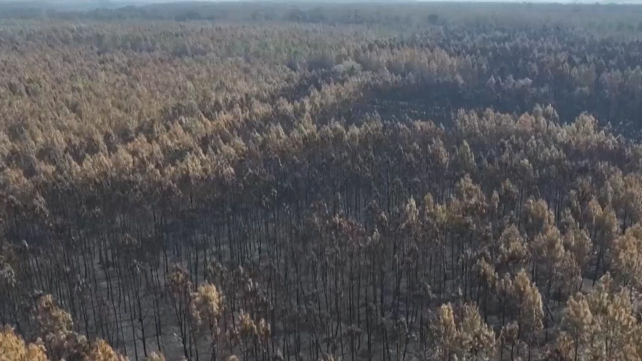 Drone Footage Reveals Trail of Destruction After Deadly France Wildfires