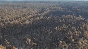 Drone Footage Reveals Trail of Destruction After Deadly France Wildfires