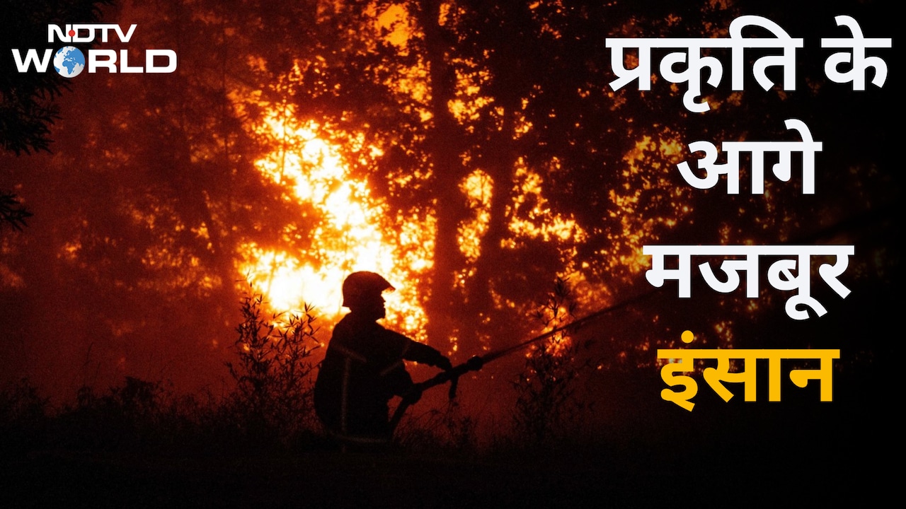 2 लाख लोग घर छोड़ने को मजबूर, रेस्क्यू में जुटे हजारों जवान; फ्रांस-स्पेन में जंगल की आग बनी 'काल'
