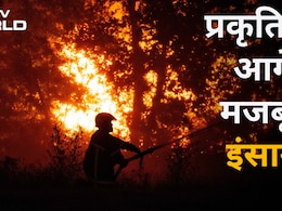 2 लाख लोग घर छोड़ने को मजबूर, रेस्क्यू में जुटे हजारों जवान; फ्रांस-स्पेन में जंगल की आग बनी 'काल'