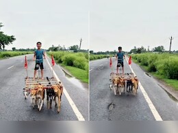 'घोड़ा गाड़ी तो देखी थी, आज कुत्ता गाड़ी भी देख ली...' बच्चे का देसी जुगाड़ देख लोग बोले- 'ये तो बचपन का सपना था'