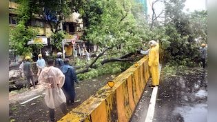 Weather Today LIVE: Red Alert In Parts Of Maharashtra, Work From Home Advised Amid Heavy Rain