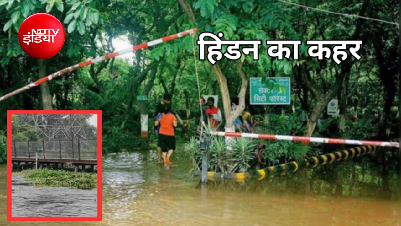 हिंडन नदी का जलस्तर बढ़ने से गाजियाबाद में अलर्ट, सिटी फॉरेस्ट पार्क जलमग्न; लोहे का पुल बंद