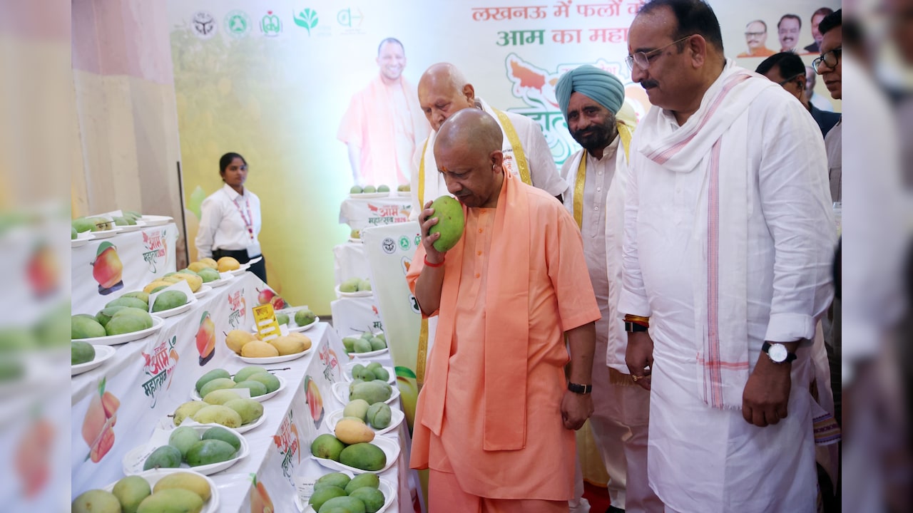 Mango Festival Mango Festival